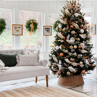 ¿Cuando deberíamos sacar el árbol de navidad?