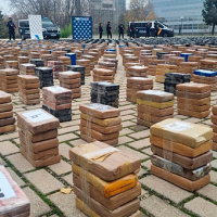 Más de 11 toneladas de cocaína encontradas escondidas en lomos de atún congelados en España