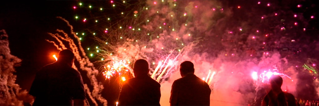 ¡Proyecto “No Más Fuegos Artificiales” en debate para prohibir shows pirotécnicos!