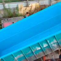 ¡Ya párenla¡ Se robaron una piscina con agua en Argentina