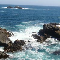 Dando el ejemplo: Chile fue el primer país en firmar el Tratado Global de los Océanos
