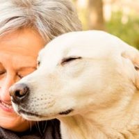 Ley sancionaría a familias que no visiten a sus adultos mayores: hasta 700 luquitas de multa