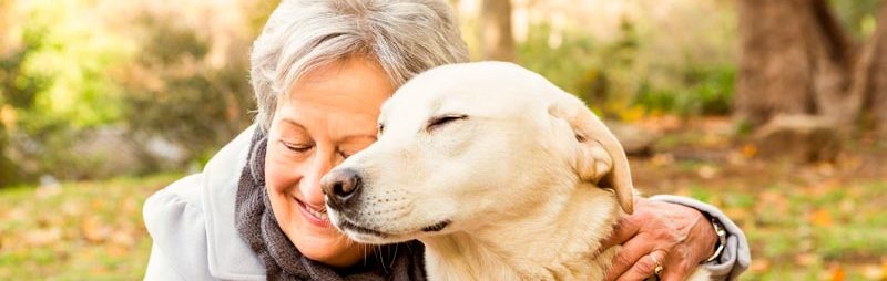 23 de septiembre: Día del perro adoptado