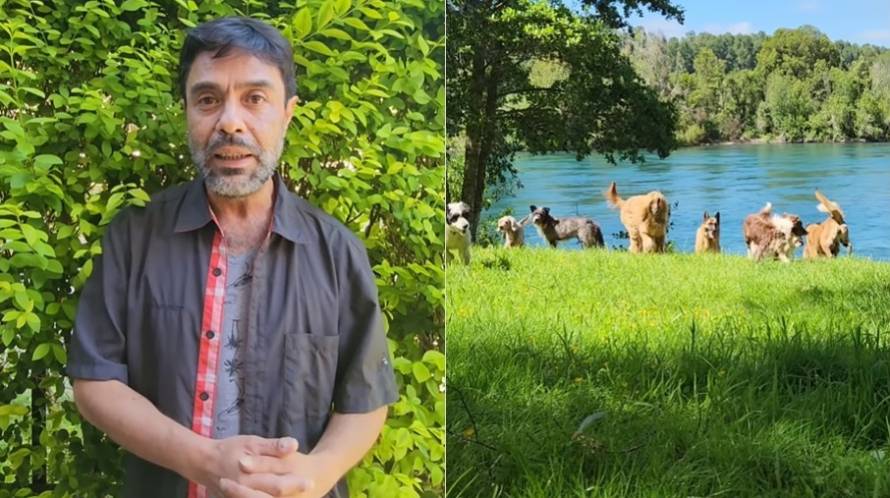 Igual no son tantos: Hombre busca arriendo junto a 26 perros y más animales