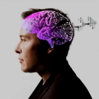 ¡Sujeto de pruebas logró mover el mouse con su mente usando Neuralink!