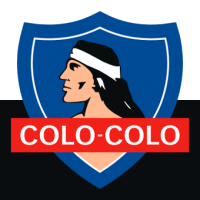 Captan inéditas imágenes de un gato colo-colo en Papudo