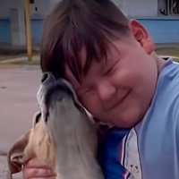 Niño armó una rifa para comprar alimentos para perritos callejeros