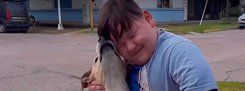 Niño armó una rifa para comprar alimentos para perritos callejeros