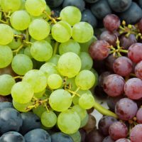 Para que te la comas como Dios Griego: Esta es la cantidad de uvas que debes comer al día