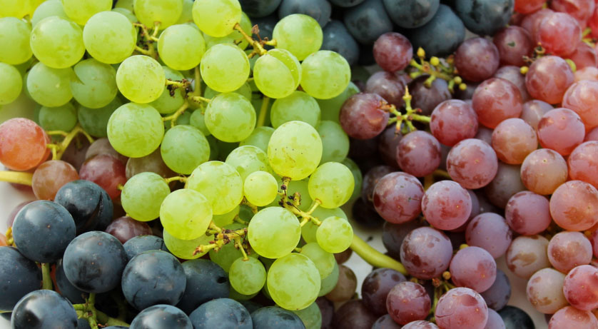 Para que te la comas como Dios Griego: Esta es la cantidad de uvas que debes comer al día
