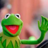 ¡Tiene más de 270 millones de años! Nombran fósil en honor a la Rana René de Los Muppets