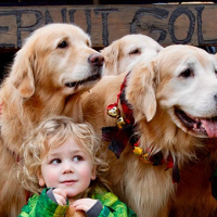 ¡Quiero irme ya! Pareja creó una granja de Golden Retriever