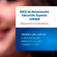 ¡Me jodieron el finde! Buscan que Tarjeta Junaeb no sirva para la comida chatarra