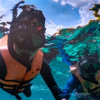 ¡Buenardo! Buceo en Fernando de Noronha: Un encuentro con la vida marina