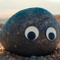¡Surcoreanos adoptan rocas como mascotas!