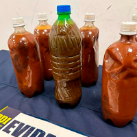 ¡Detuvieron a un tipo en el aeropuerto con 6 botellas de ayahuasca!