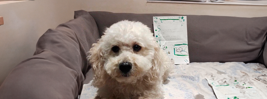 Niña llevó a su perrito a una guardería y dejó tiernas instrucciones