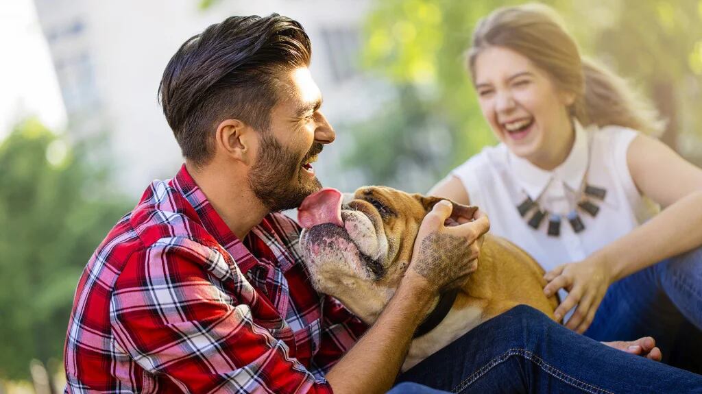Dato que no pediste: Tener mascotas con tu pareja fortalece la relación