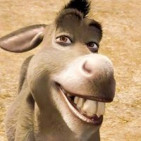 ¡Se acordaron de mí! Hoy es el Día Internacional del Burro