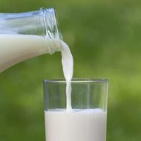 ¿Cómo te gusta recibirla? Hoy se conmemora el Día Mundial de la Leche
