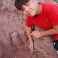Niño descubrió fósiles de dinosaurio en el patio de sus abuelos