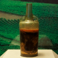 Imagínate esa caña, papu... ¡Encontraron el vino más antigüo del mundo en España!