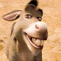 ¿Ya merito? Burro tendrá su propia película