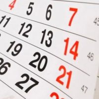 ¿Qué día de la semana eliminarías? - Caído del Katre