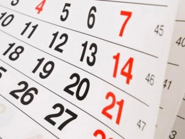 ¿Qué día de la semana eliminarías? – Caído del Katre