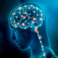 ¡El cerebro puede rejuvenecer!