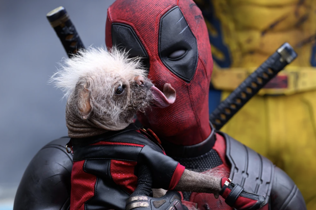 La perra más fea del Reino Unido aparecerá en Deadpool 3