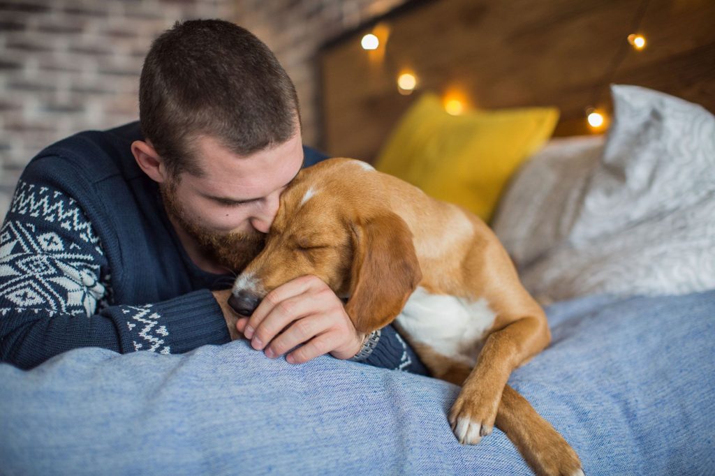 Pero no llores po perro: Según estudio los perritos pueden sentir el dolor humano