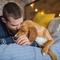 Pero no llores po perro: Según estudio los perritos pueden sentir el dolor humano