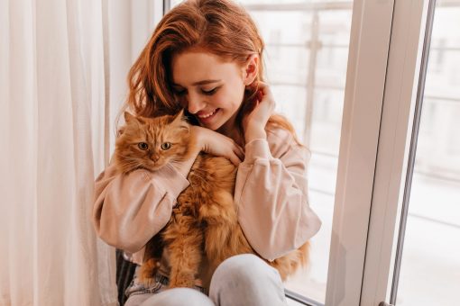 ¿Confirmas?: Según la ciencia los gatos prefieren a las mujeres