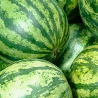 Más de $5 mil millones en metanfetaminas ocultas en sandías falsas