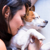 ¡Decirle "Te amo" a tu perrito realmente lo hace feliz!