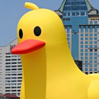 Un Pato de Goma Gigante de 20 Metros Sorprende a Shanghái