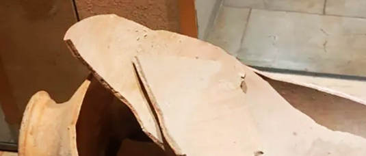 Niño Rompe Jarrón de 3.500 Años en Museo