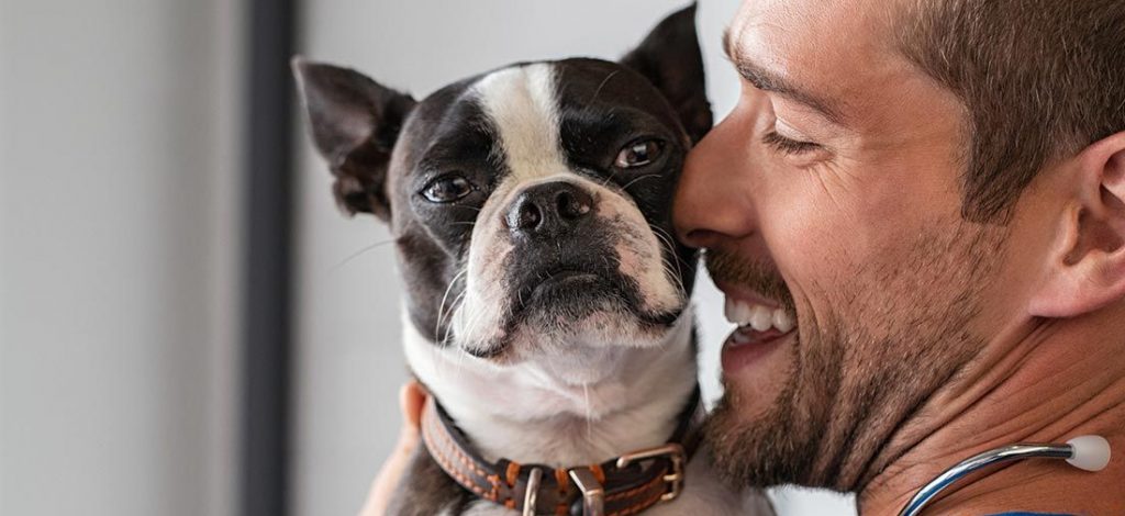 Chileno crea la primera vacuna del mundo para esterilizar perros