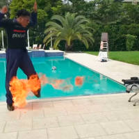 ¡Perro que ladra, bota fuego! ... Speed fue atacado por su perro robot