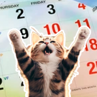 Noticias que dan gusto... ¡Gobierno propone crear 16 nuevos feriados!