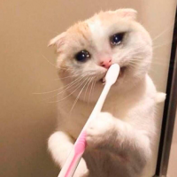 Emosido engañados ... ¡Por esto deberías dejar de guardar tu cepillo en el baño!
