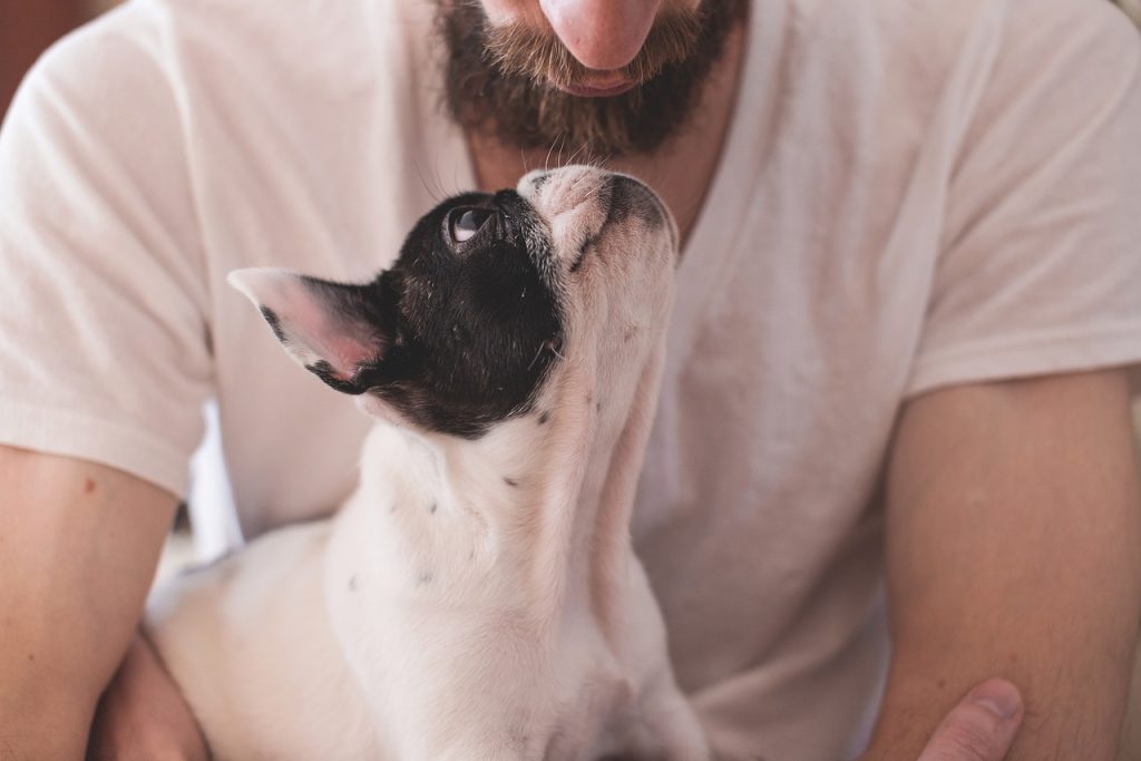 Estudio dice que las personas que conversan con sus perritos no están locas (y punto)