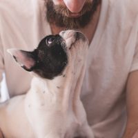 Estudio dice que las personas que conversan con sus perritos no están locas (y punto)