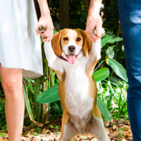 Nooo, con mi mejor amigo no po... Estudio sugiere que las mujeres solteras prefieren a sus perros antes que a un hombre