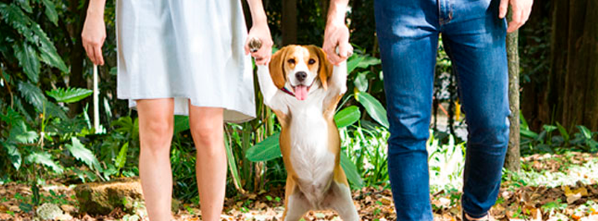 Nooo, con mi mejor amigo no po… Estudio sugiere que las mujeres solteras prefieren a sus perros antes que a un hombre