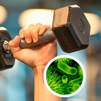 ¡Avísale a tu gymbro! Las pesas tienen hasta 362 veces más bacterias que la taza del water