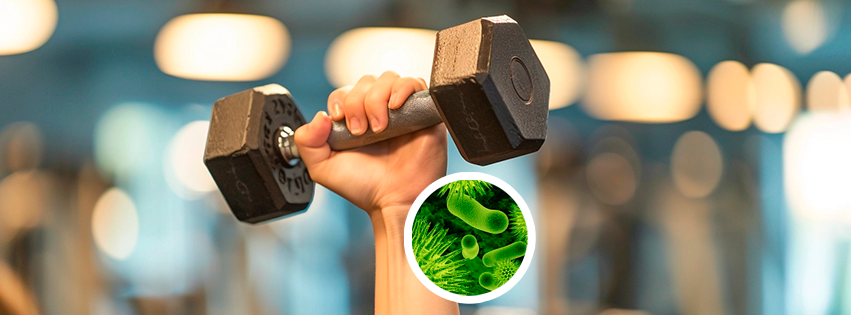 ¡Avísale a tu gymbro! Las pesas tienen hasta 362 veces más bacterias que la taza del water