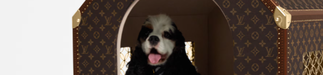 Lujo para Mascotas: Louis Vuitton Presenta un Canil por más de 60 Millones