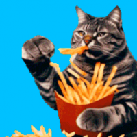 ¡Sacheiii! Las papas fritas podrían tener su origen en Chile